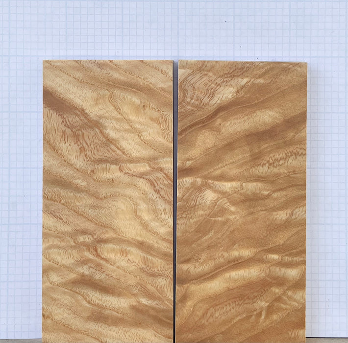 Figured Ash Custom scales #194