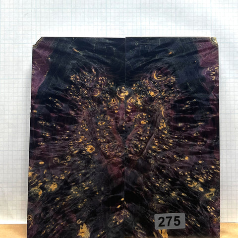 Dyed Box Elder Burl Custom scales #275