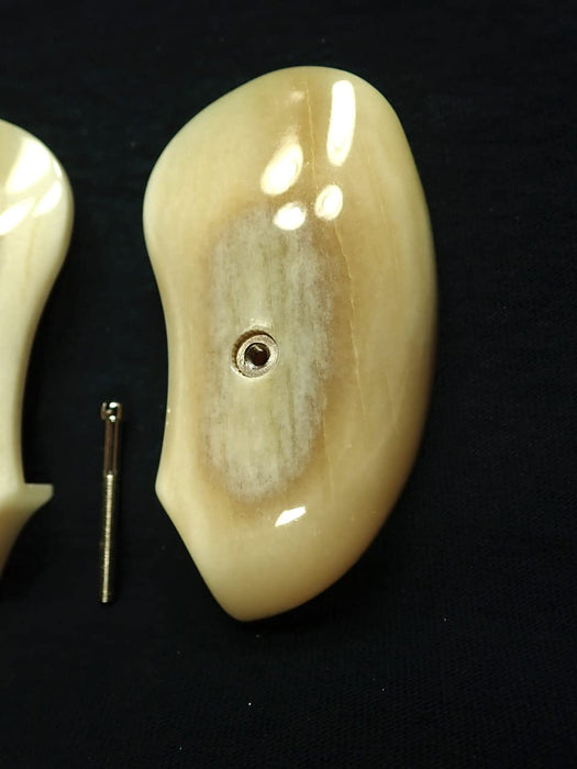 Genuine Giraffe Bone Bond Arms Derringer Grips