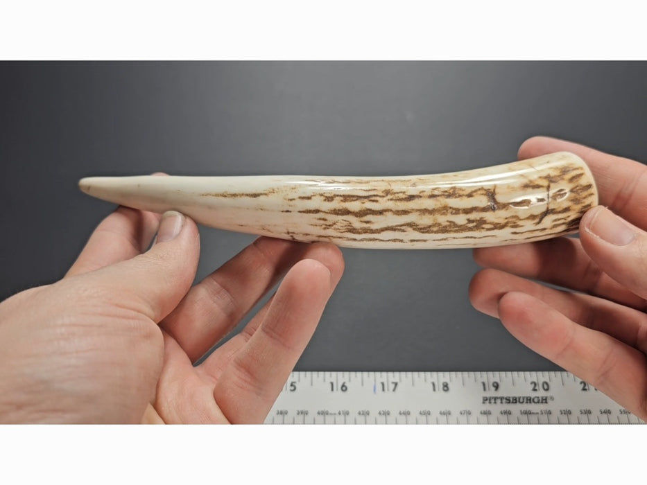 Stag Handle #25