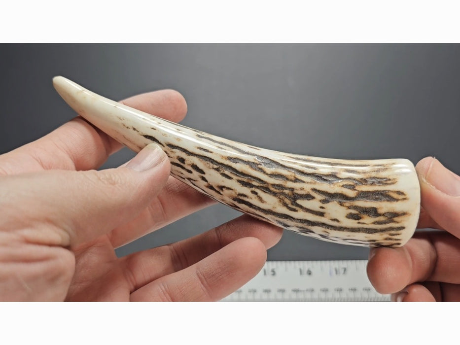 Stag Handle #59