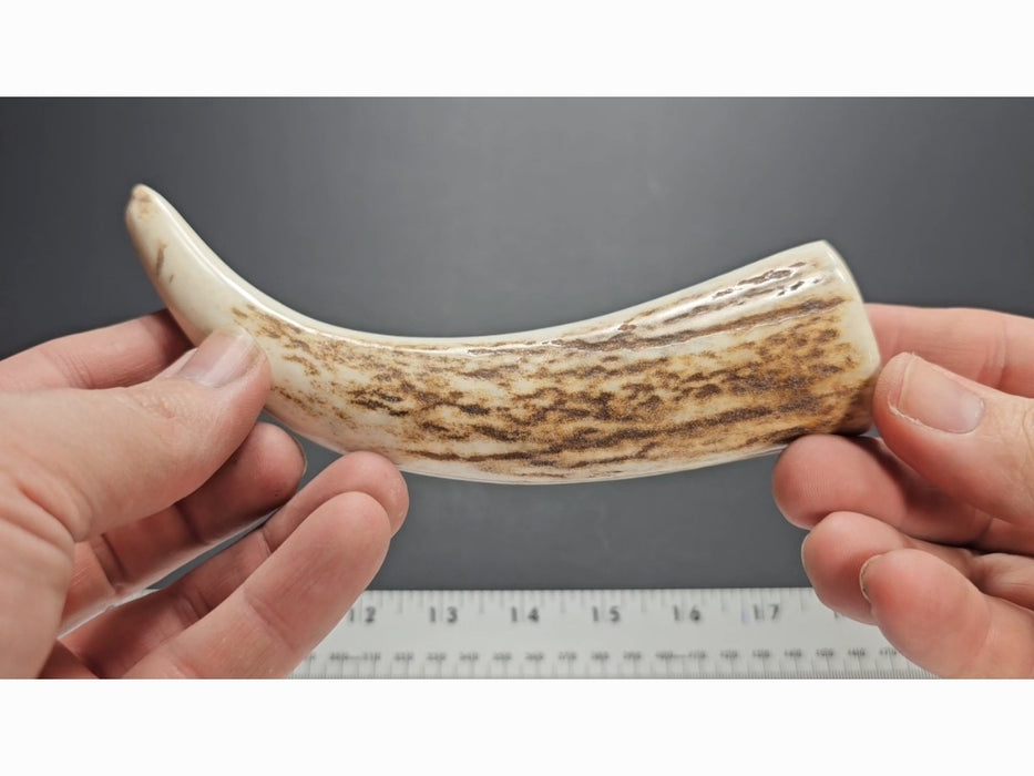 Stag Handle #60