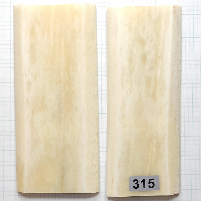 Giraffe Bone scales #315