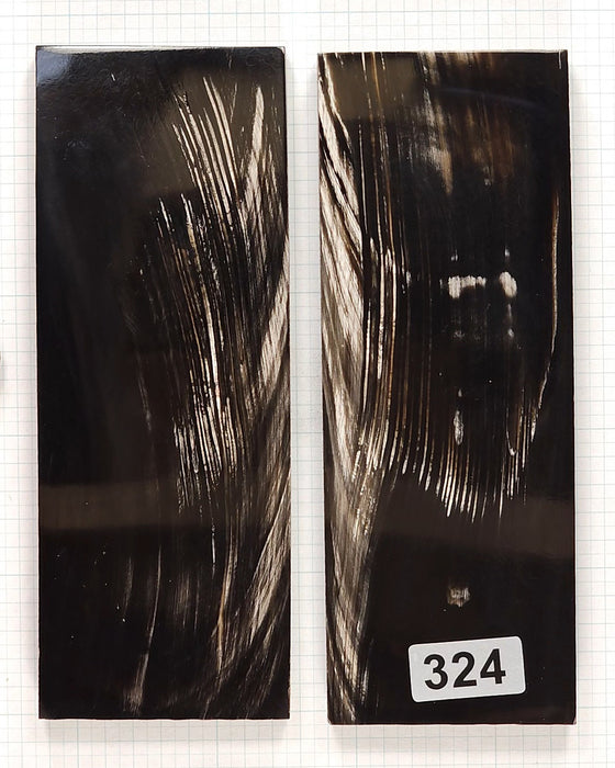 Buffalo Horn #324