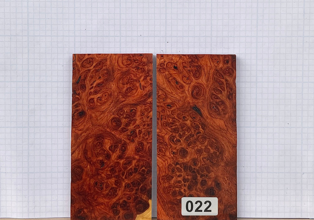 Amboyna Burl Custom scales 40 #022