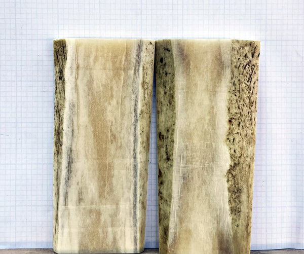 Giraffe Bone #257