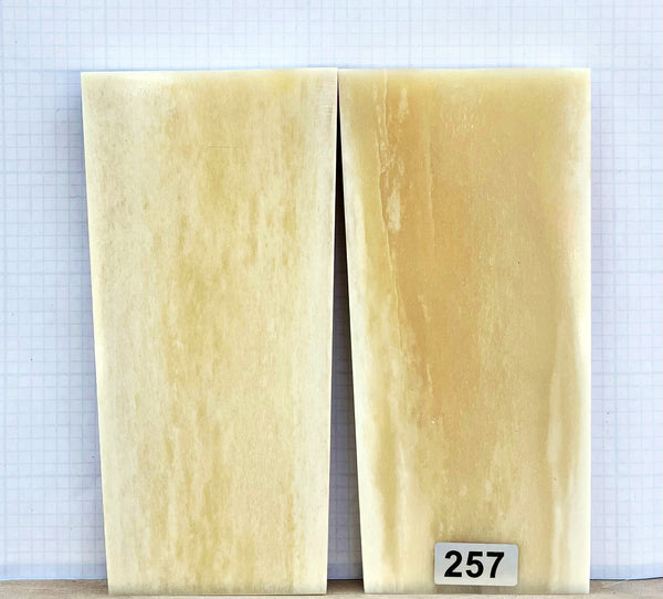 Giraffe Bone #257