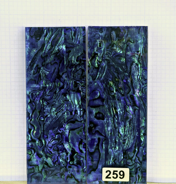 ALVS BLUE PAUA-Abalone #259