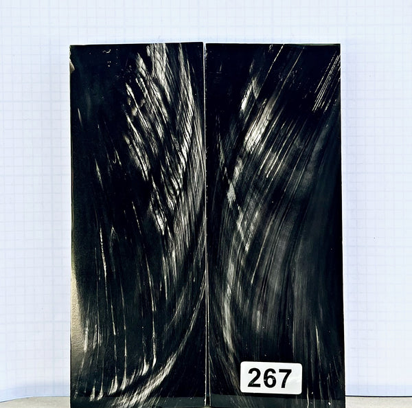 Buffalo Horn #267