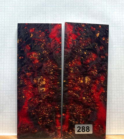 Dyed Box Elder Burl Custom scales #288