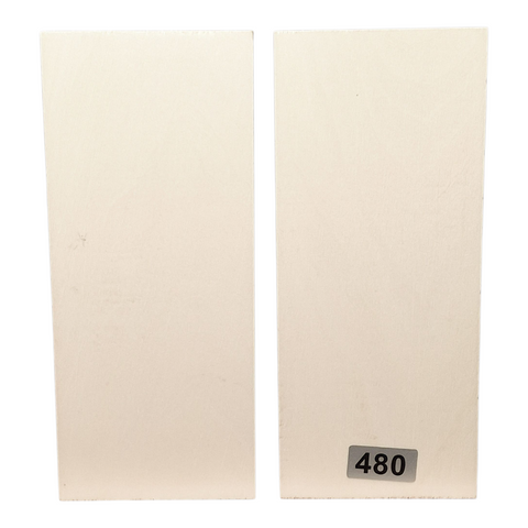 American Holly Scales #480