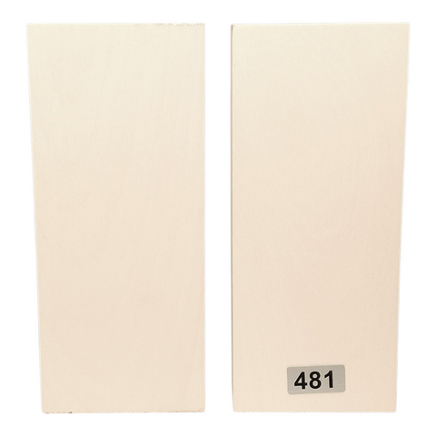 American Holly Scales #481