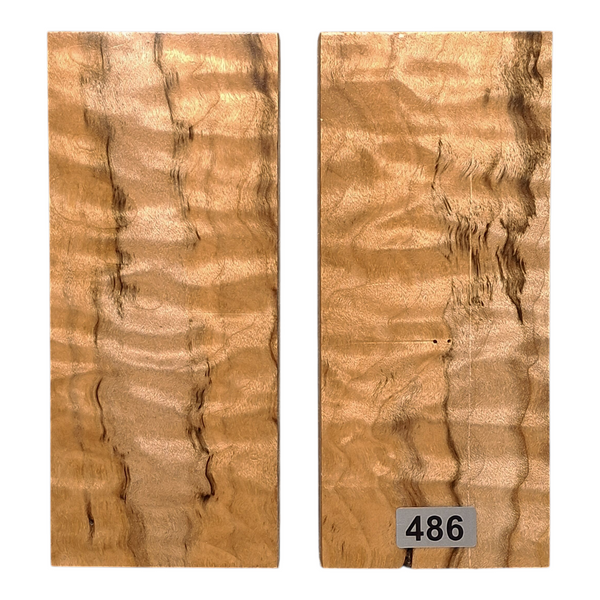 Spalted Curly Maple Scales #486