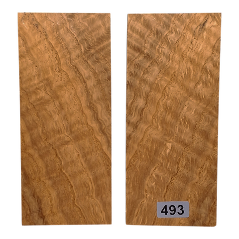 White Oak (Curley, Quarter Sawn) scales #493