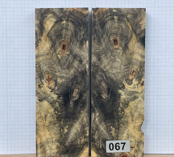 Buckeye Burl Wood Custom scales #067