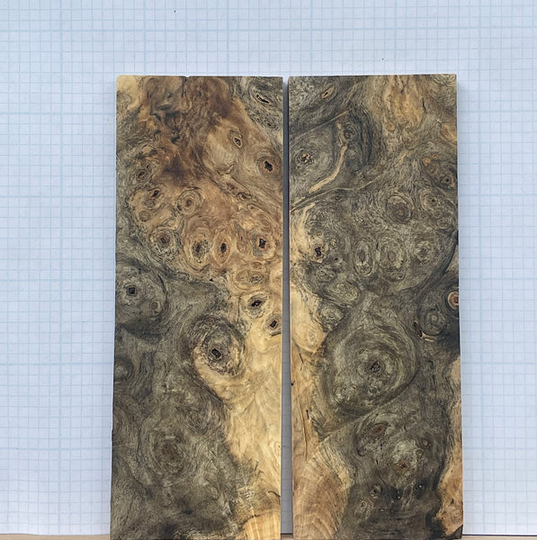 Buckeye Burl Wood Custom scales #069