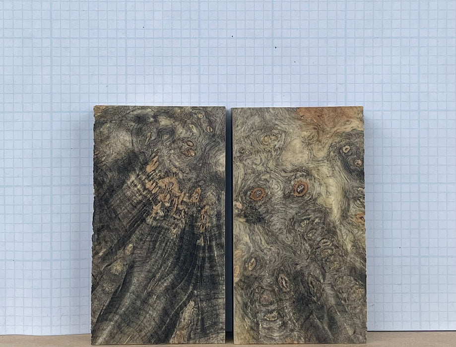 Buckeye Burl Wood Custom scales #073