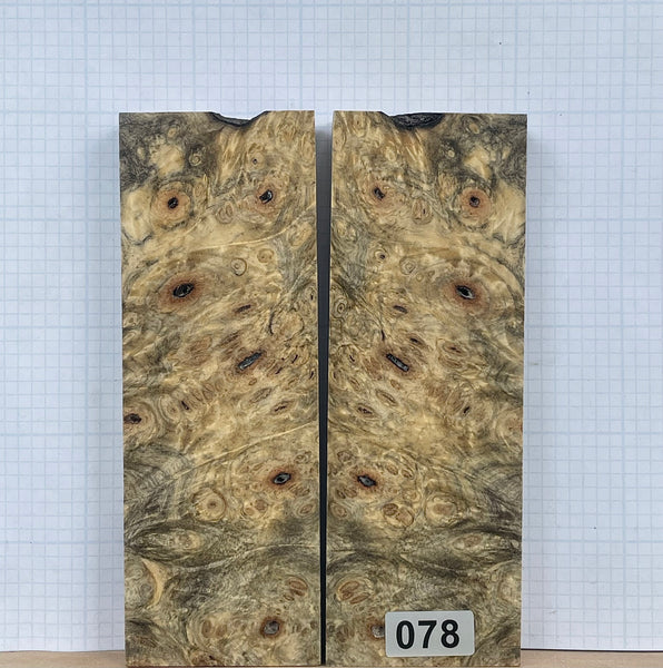 Buckeye Burl Wood Custom scales #078