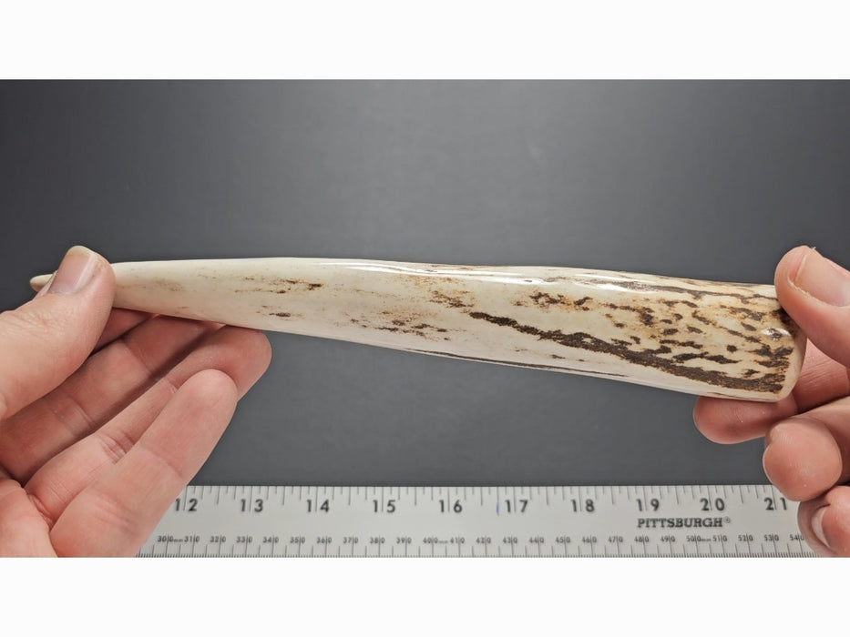 Stag Handle #3