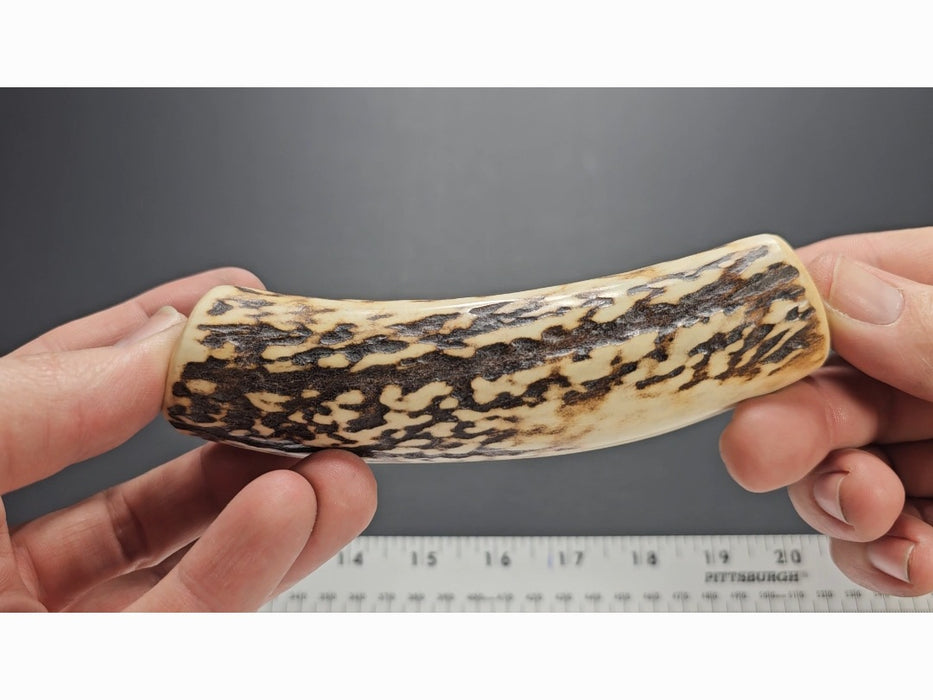 Stag Handle #5