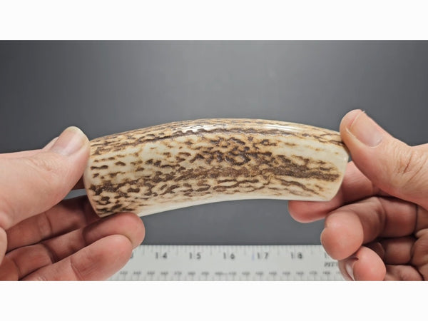 Stag Handle #14