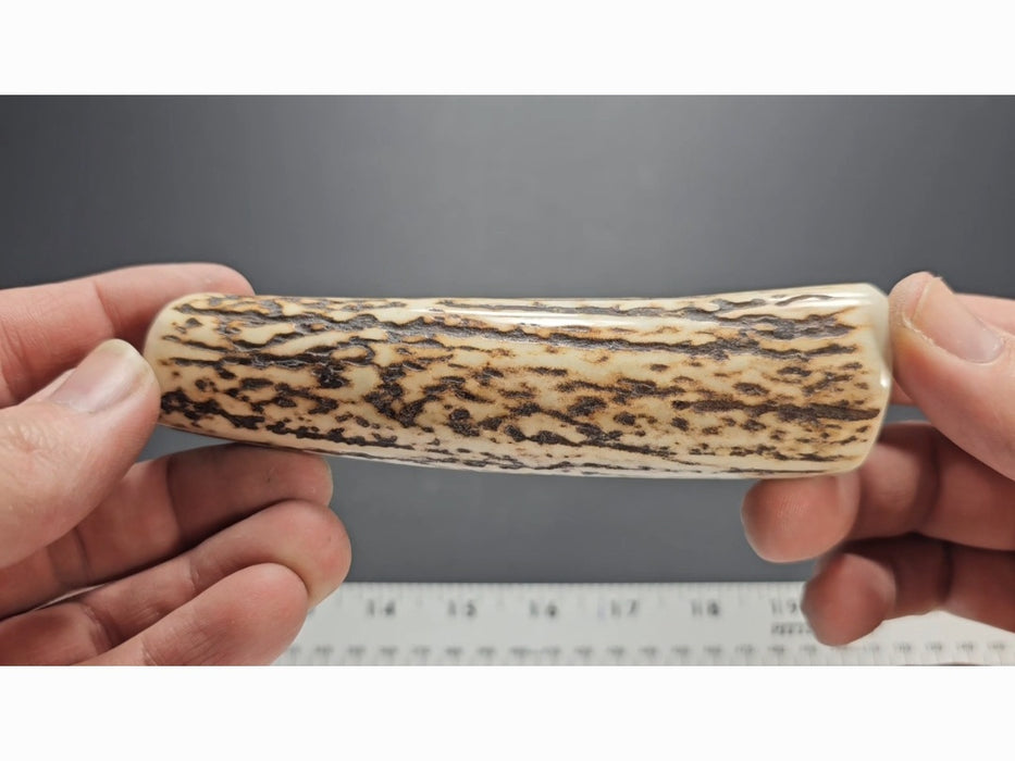 Stag Handle #18
