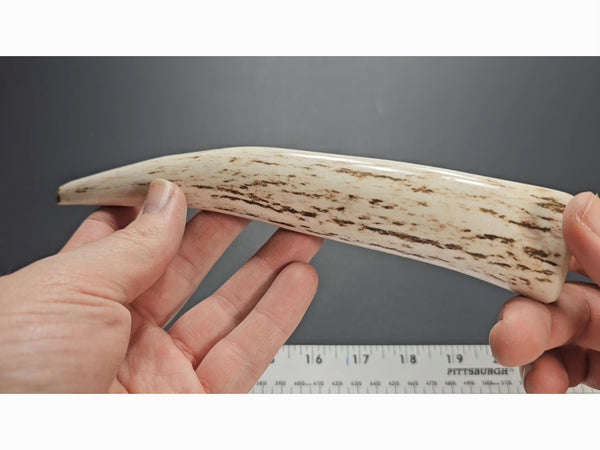 Stag Handle #26