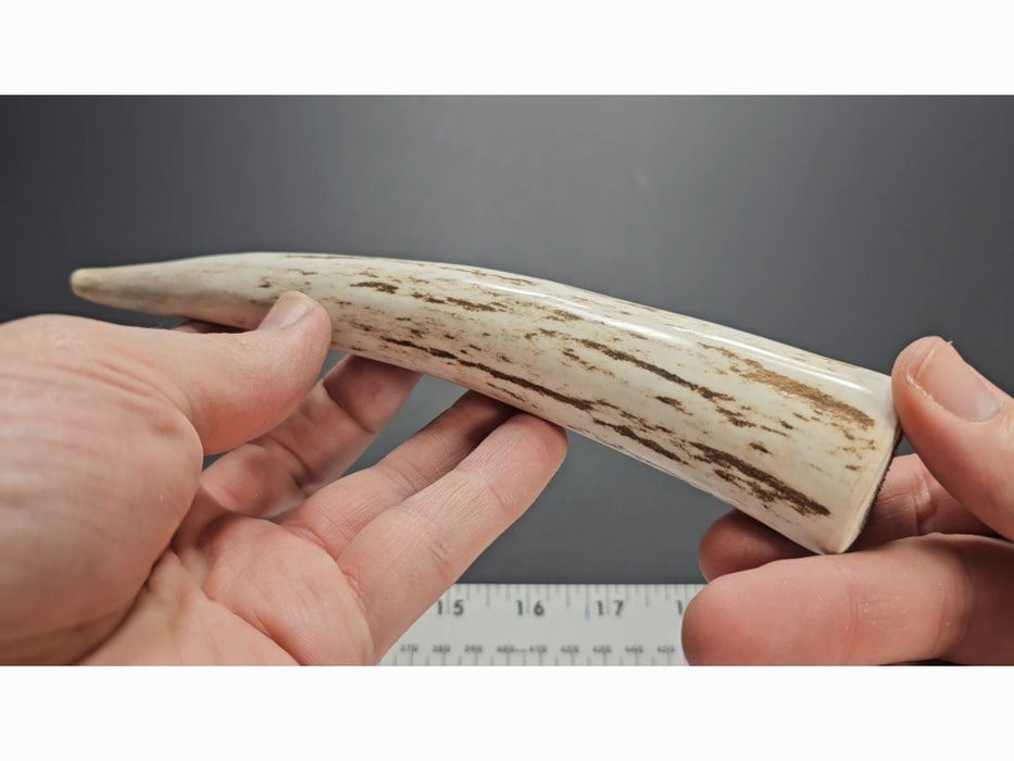 Stag Handle #27