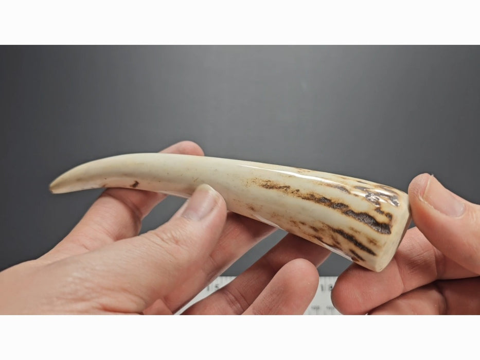 Stag Handle #28