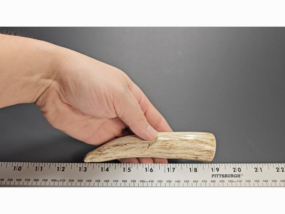 Stag Handle #30