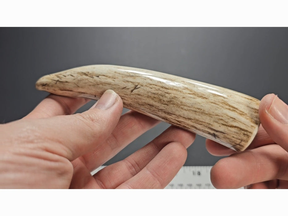 Stag Handle #30