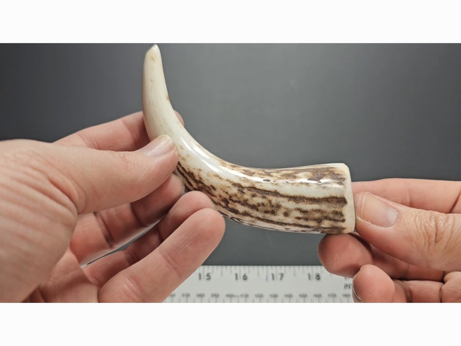 Stag Handle #33