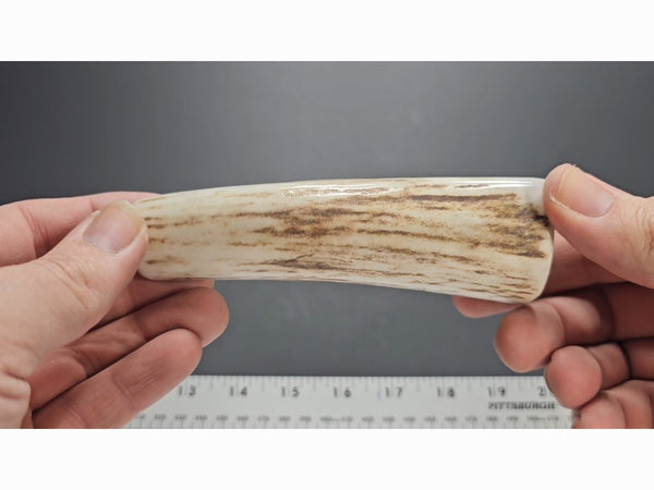 Stag Handle #34