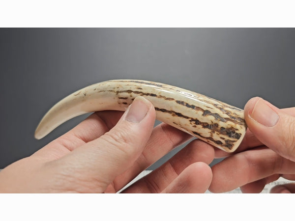 Stag Handle #45