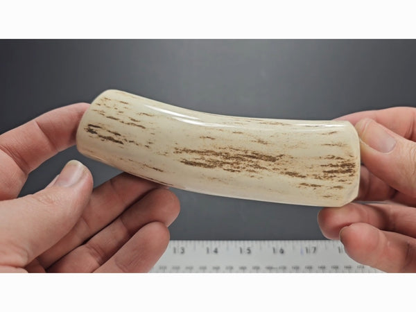 Stag Handle #48