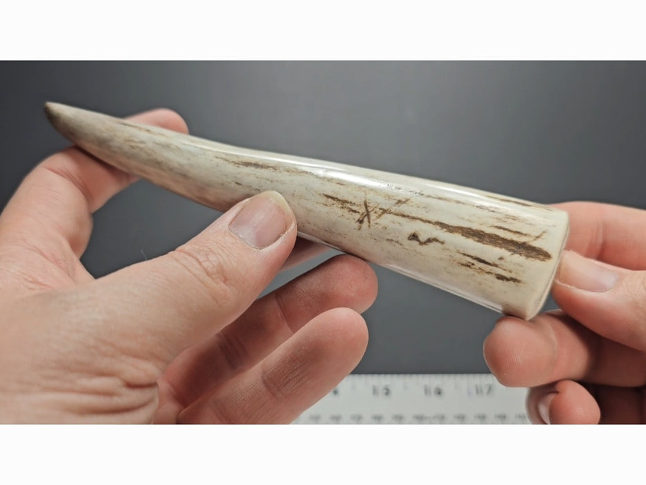 Stag Handle #51