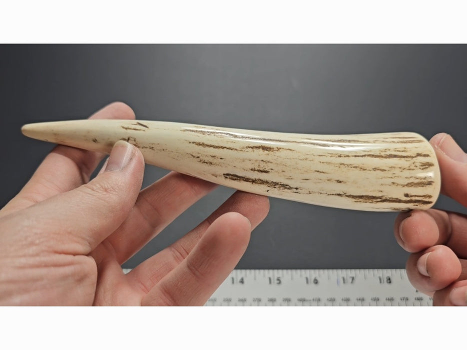 Stag Handle #56
