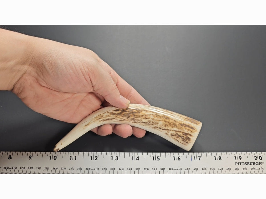Stag Handle #57