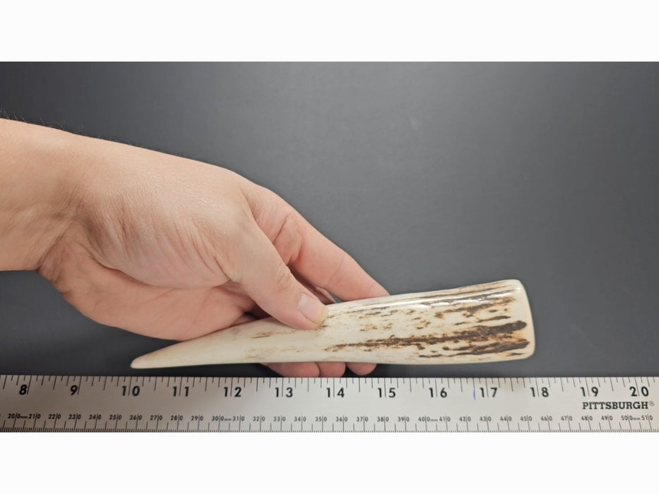 Stag Handle #62