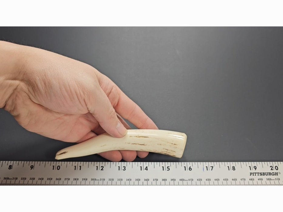 Stag Handle #63