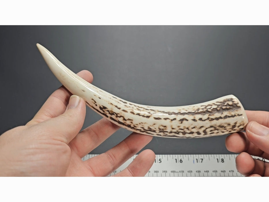 Stag Handle #64