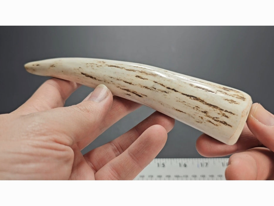 Stag Handle #65