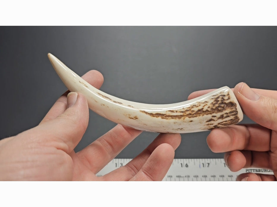 Stag Handle #66