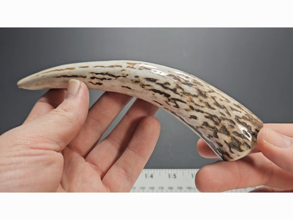 Stag Handle #67