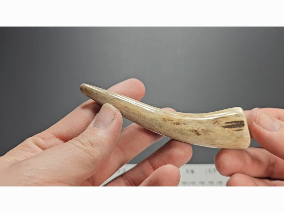 Stag Handle #68