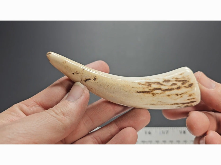 Stag Handle #69