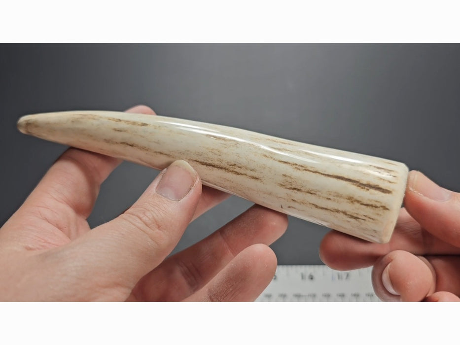 Stag Handle #72