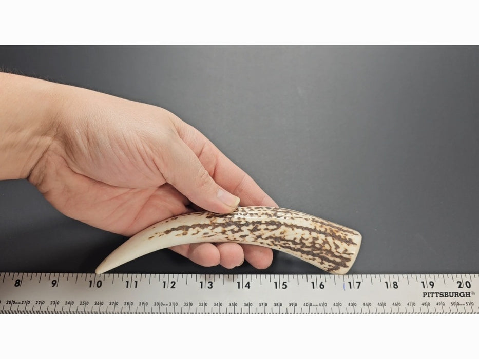 Stag Handle #74