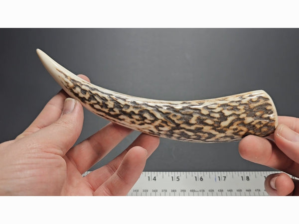 Stag Handle #76