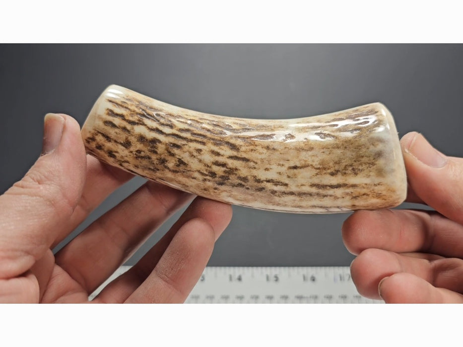 Stag Handle #77